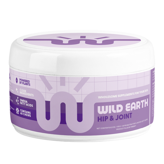 Hip & Joint Dog Supplements