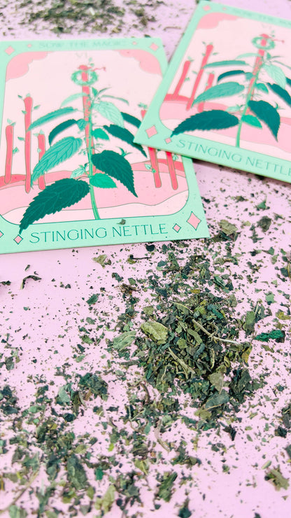 Stinging Nettle Tarot Garden