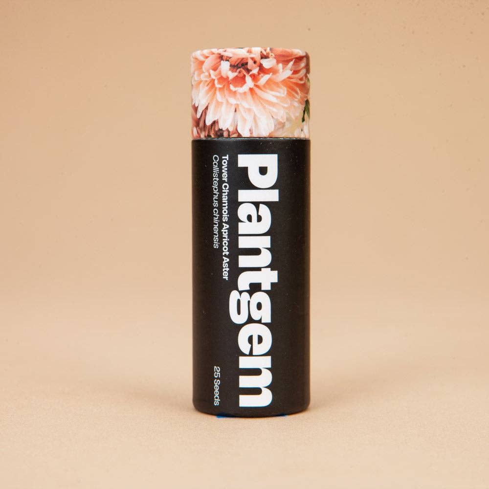 Tower Chamois Apricot Aster - 100 Seeds