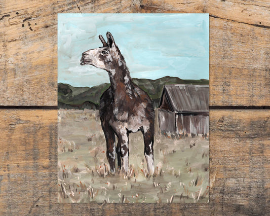 Llama Art Print