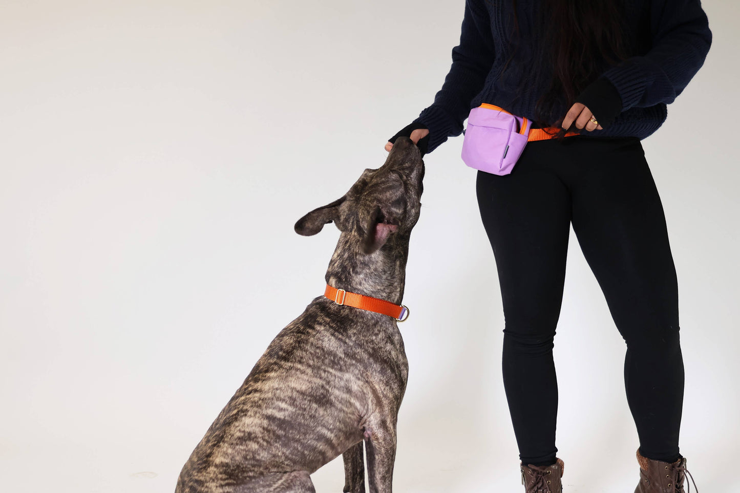 Dog Walking Fanny Pack