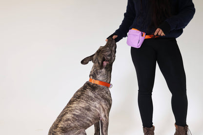 Dog Walking Fanny Pack