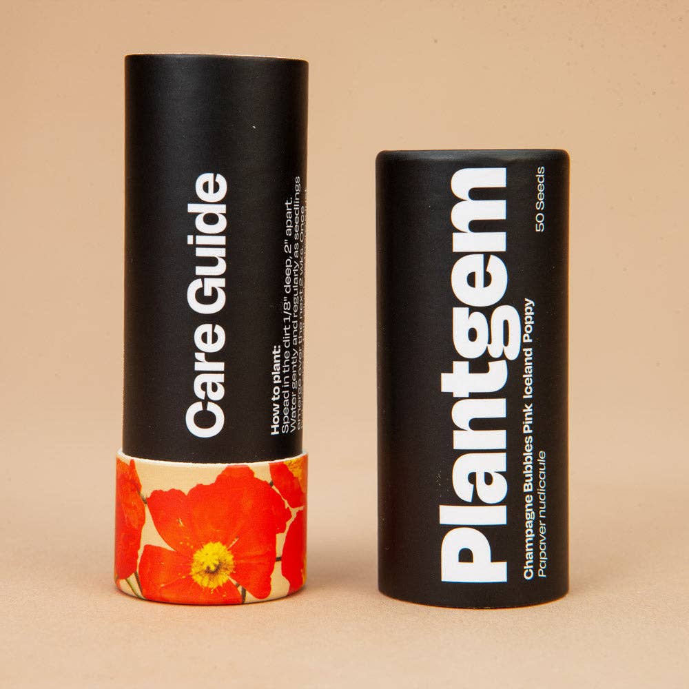 Champagne Bubbles Pink Iceland Poppy - 100 Seeds