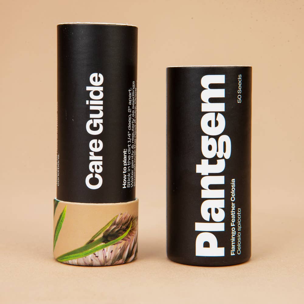 Flamingo Feather Celosia - 100 Seeds