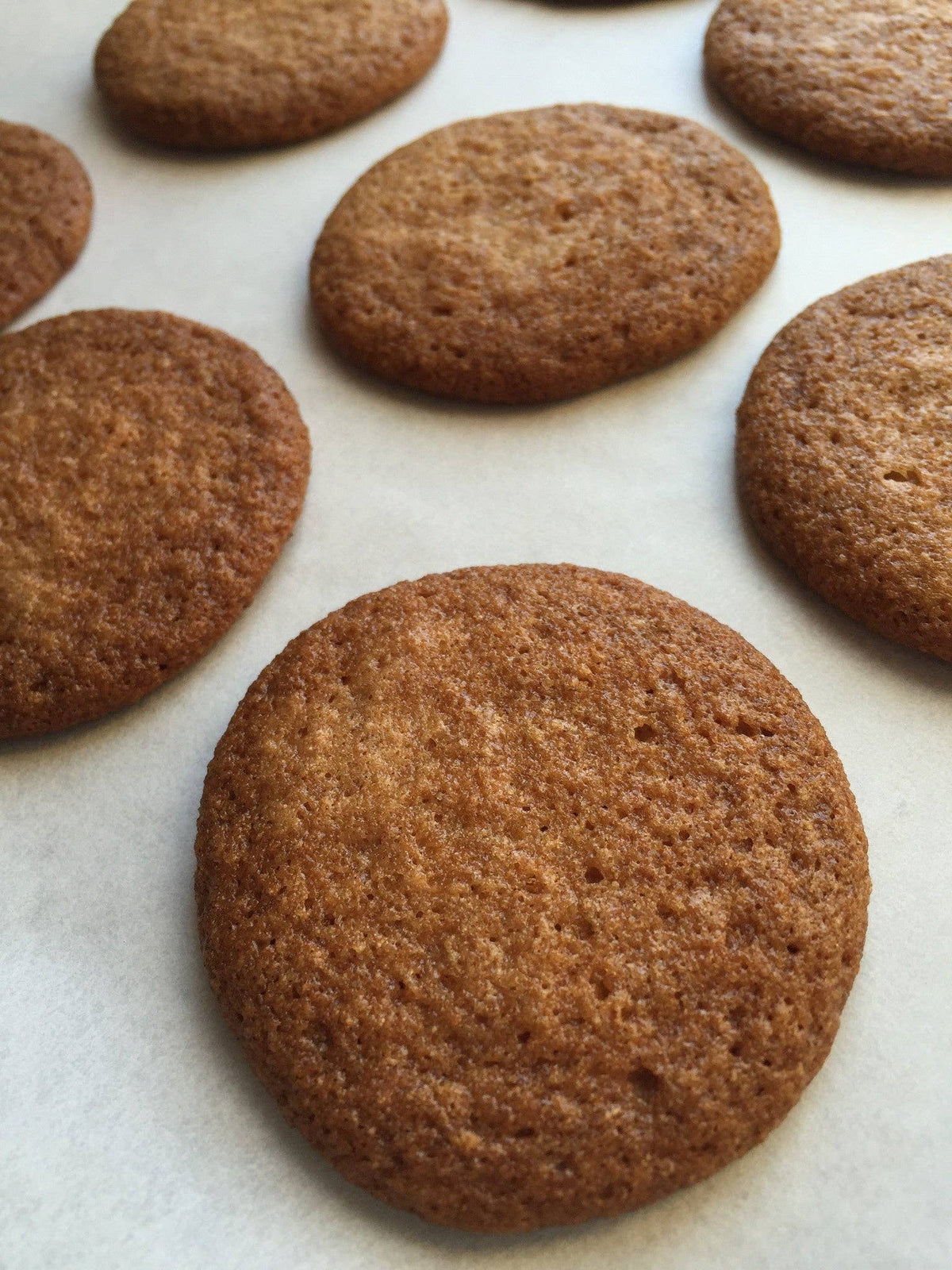 Maple Ginger Snaps Cookie