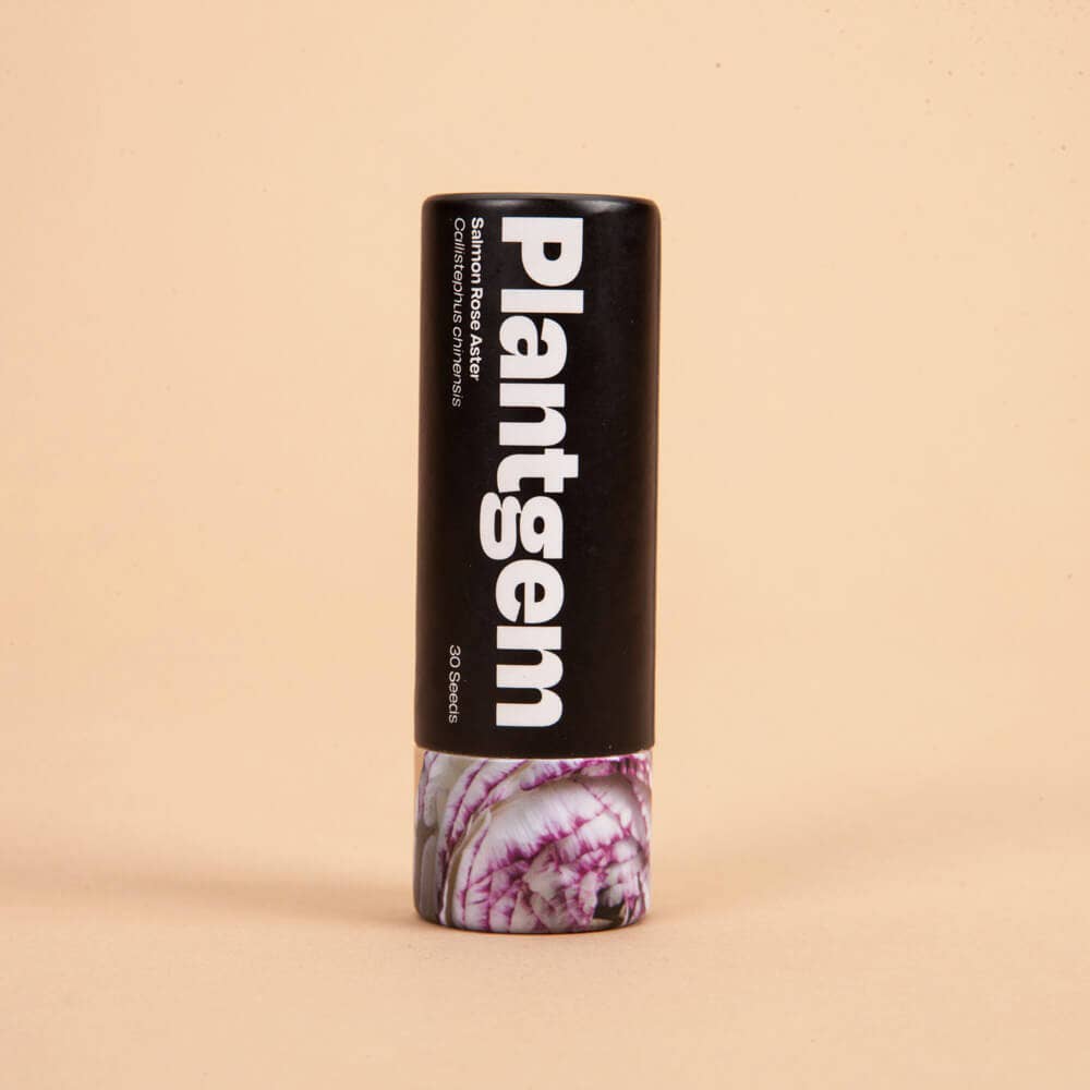 Misty Lavender Larkspur - 100 Seeds