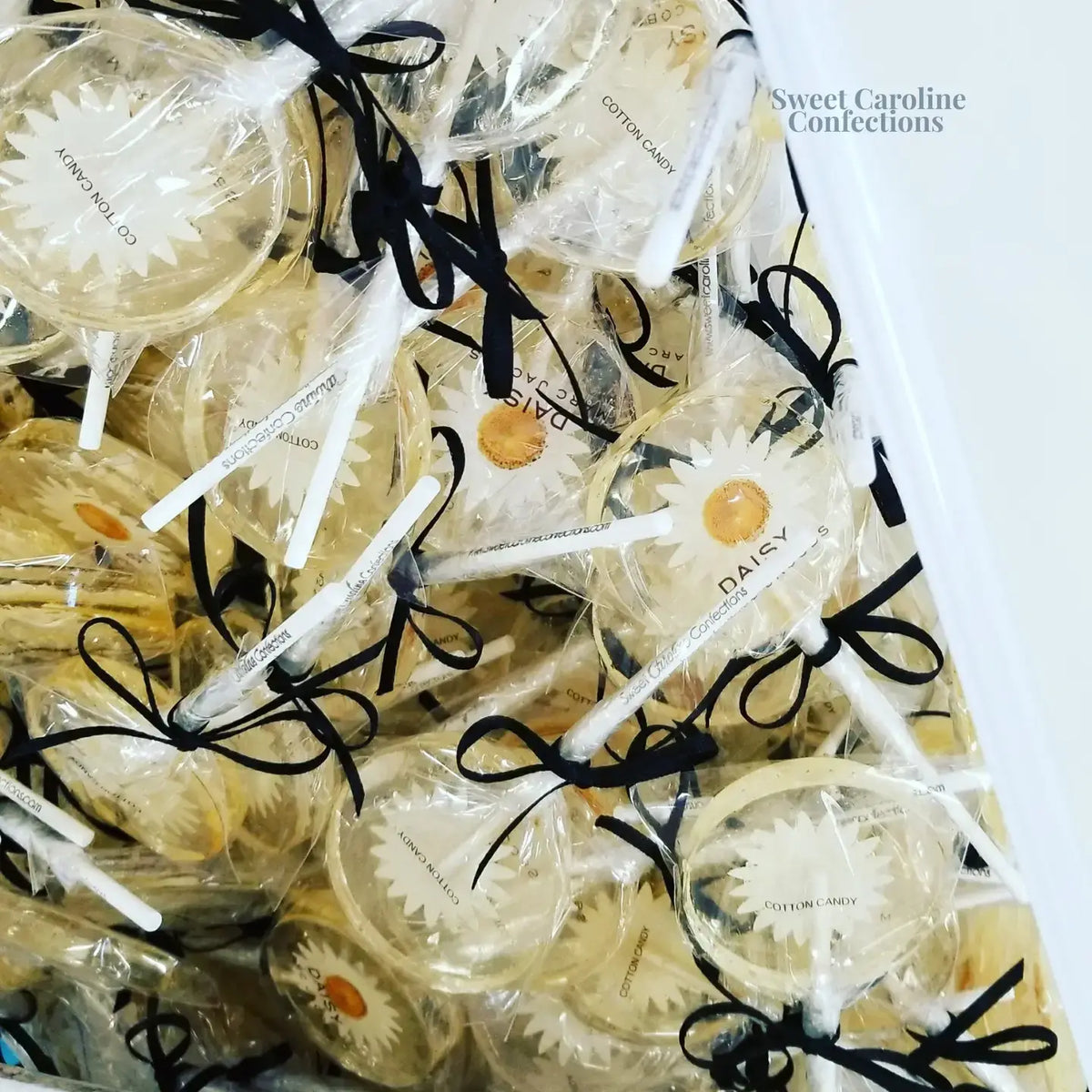 Daisy and Gold Lollipops, Mandarin Orange