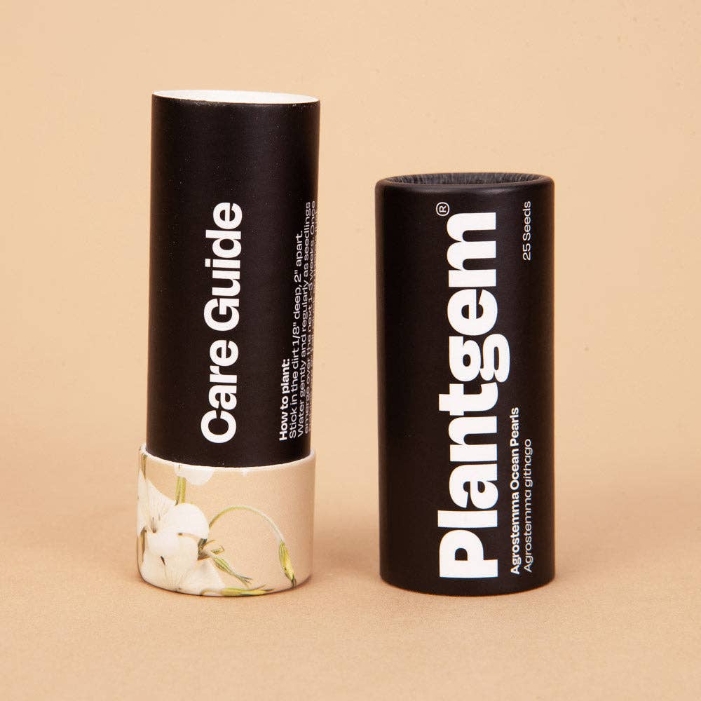 Ocean Pearls Agrostemma - 25 Seeds