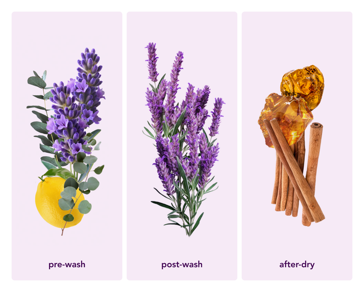 In Wash Scent Boosters, Lavender Dream