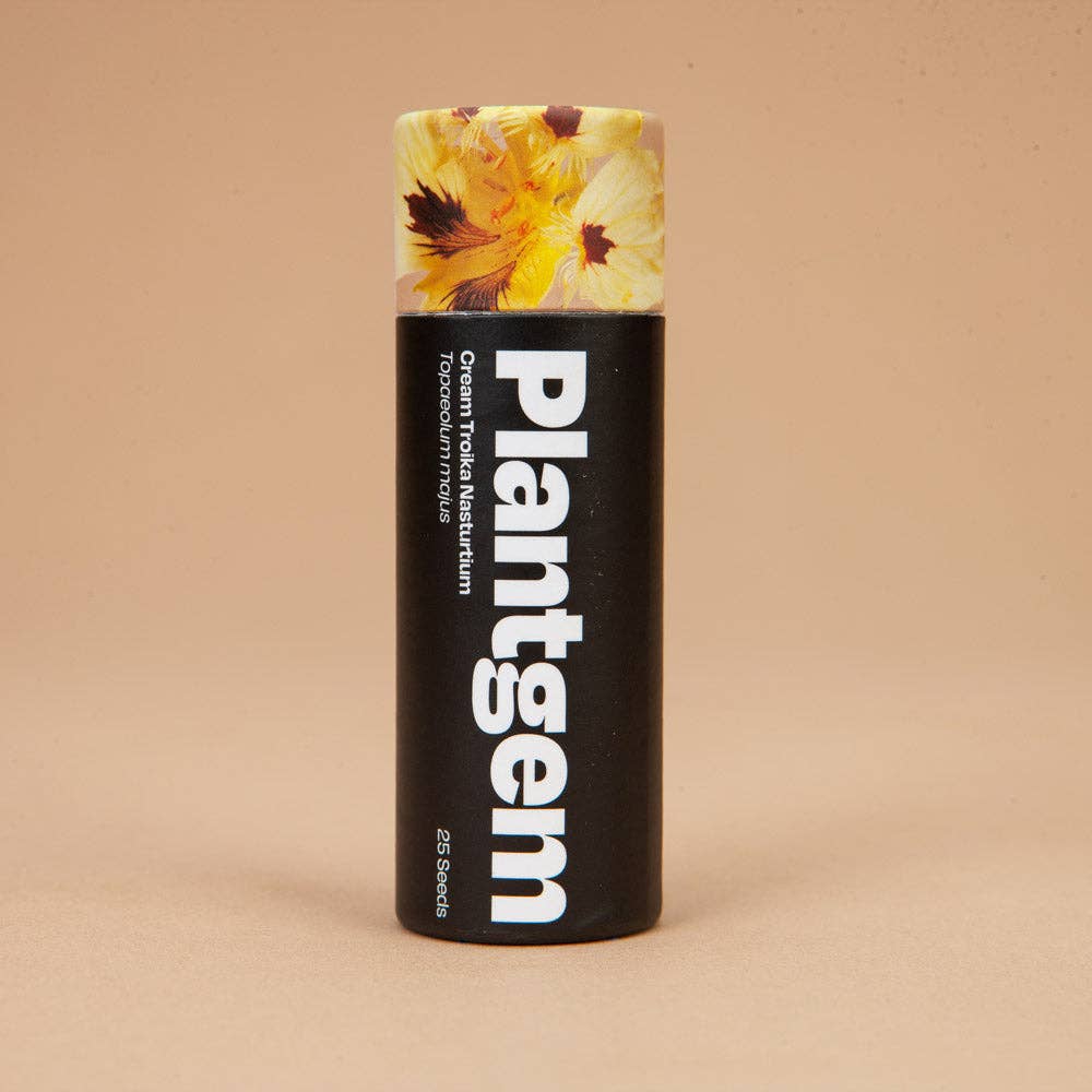 Cream Troika Nasturtium - 100 Seeds