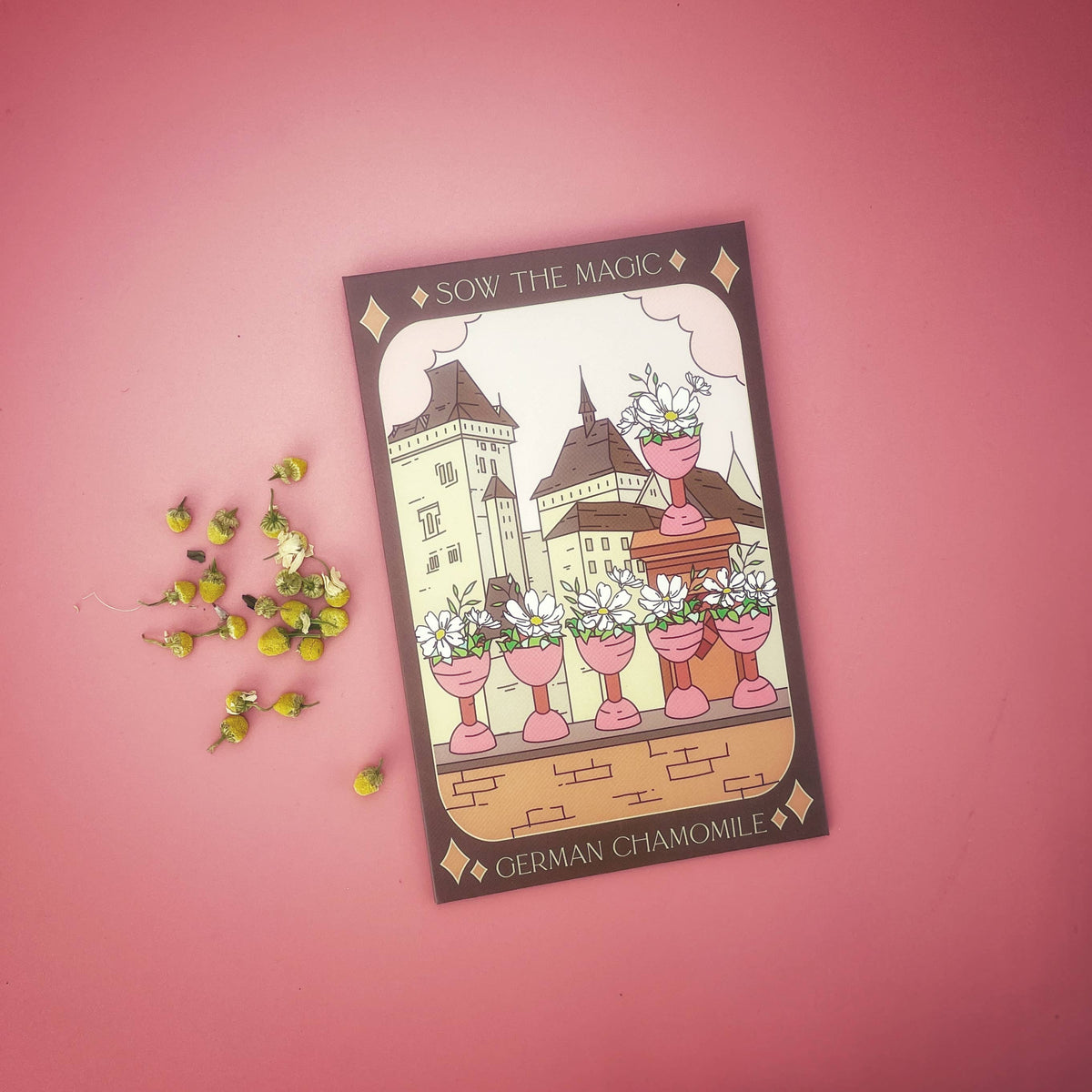 German Chamomile Tarot Garden