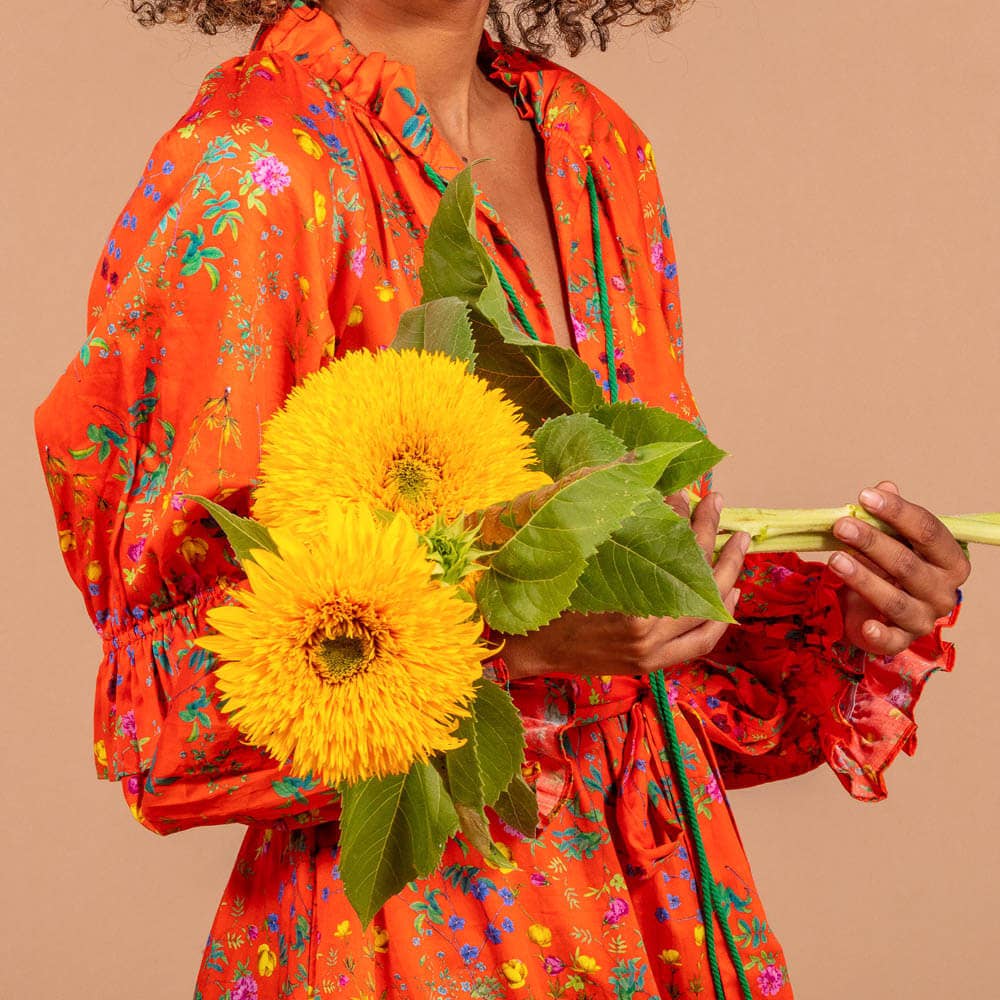 Teddy Bear Sunflower - 50 Seeds