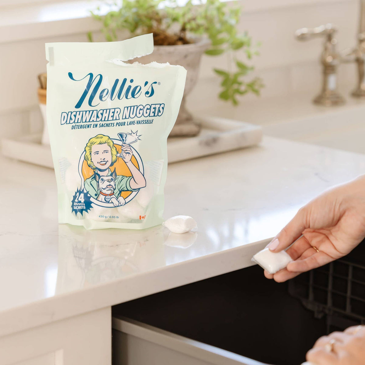 Dishwasher Detergent Pods