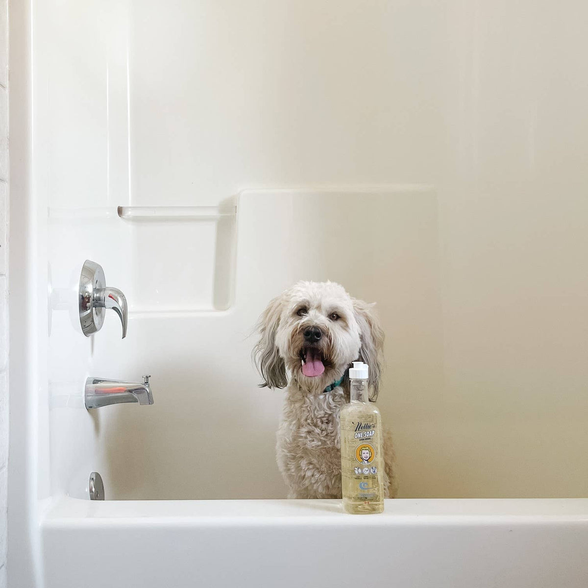 One Soap Fragrance Free (Dish, Hand, Pet)