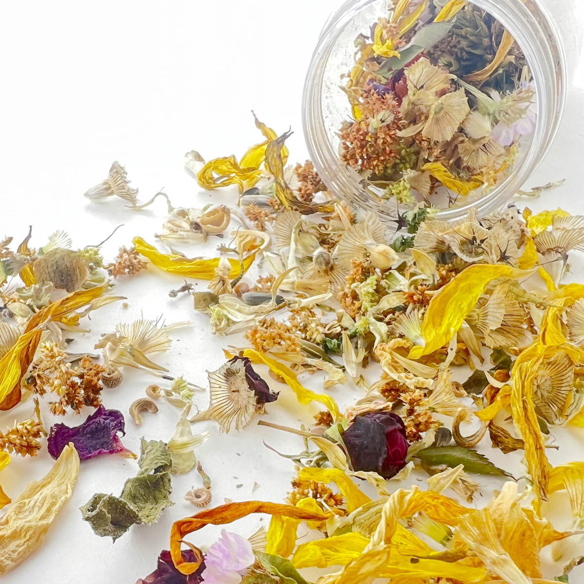 Wildflower Garden Seed Confetti Sprinkles - Celebrations