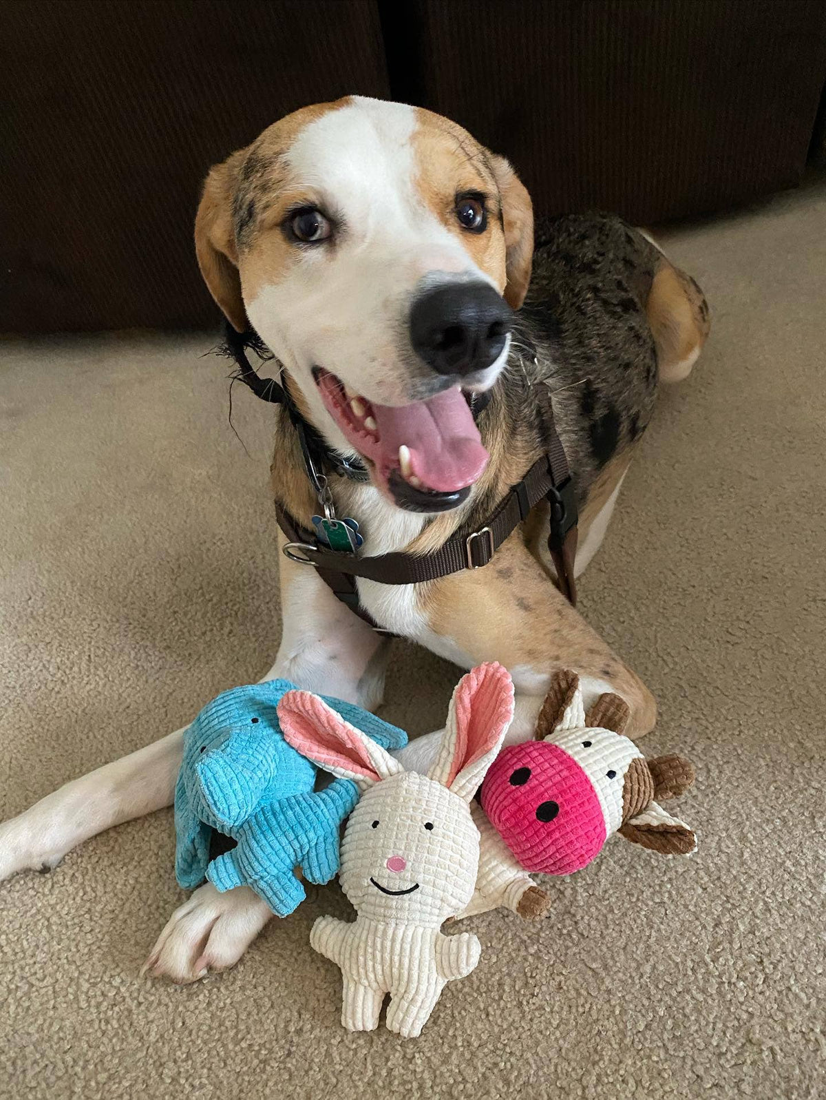 Cow Small Plush Dog Toy