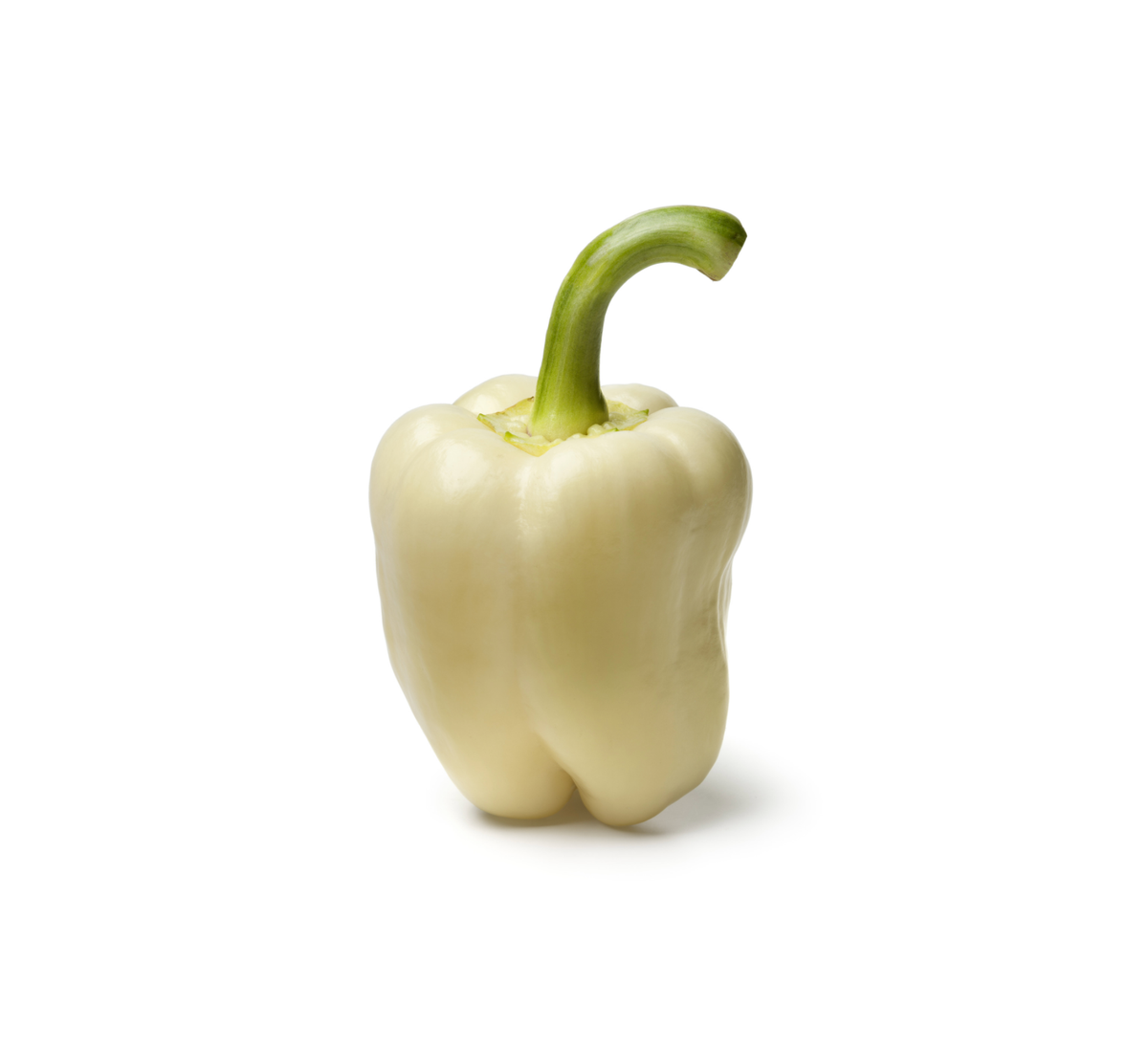 Albino Bullnose Pepper Tarot Garden