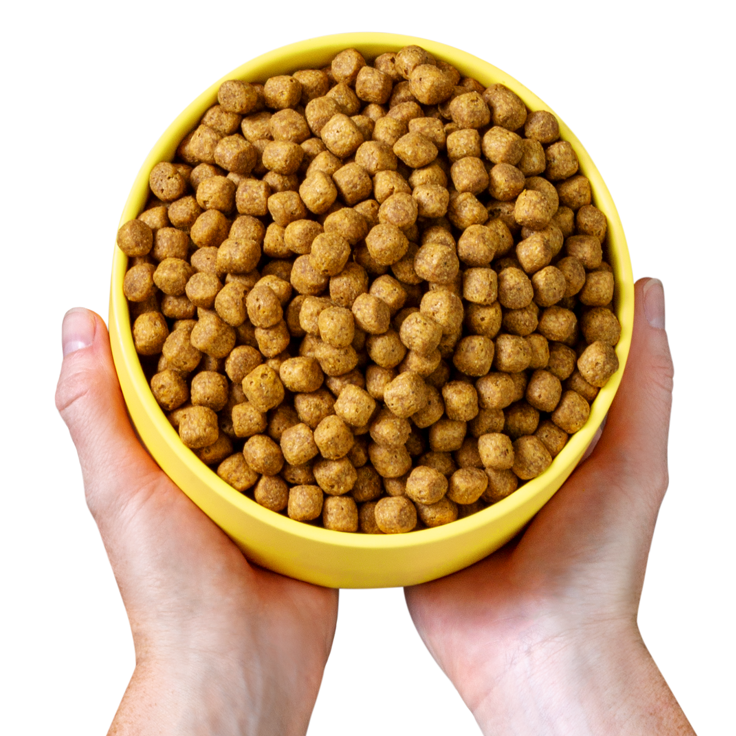 Vegan Dog Food, 4lbs
