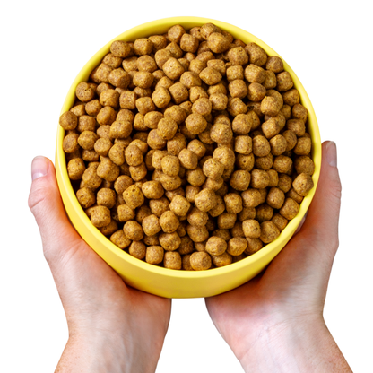 Vegan Dog Food, 4lbs