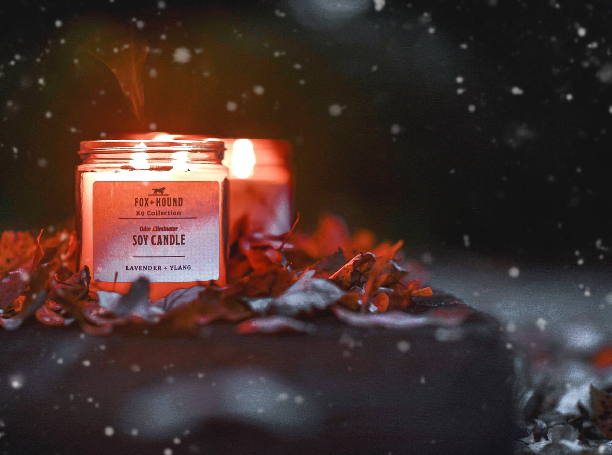 Pet Refresher Candle, Lavender & Ylang