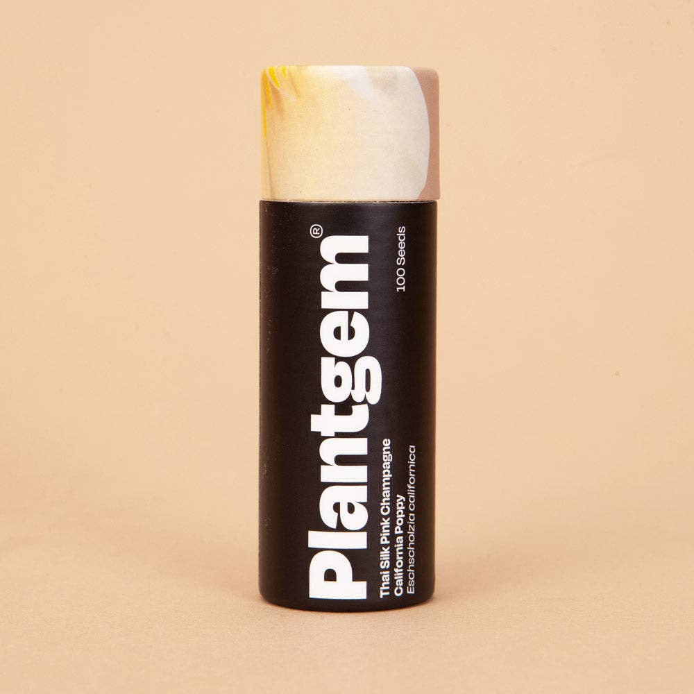 Ocean Pearls Agrostemma - 25 Seeds