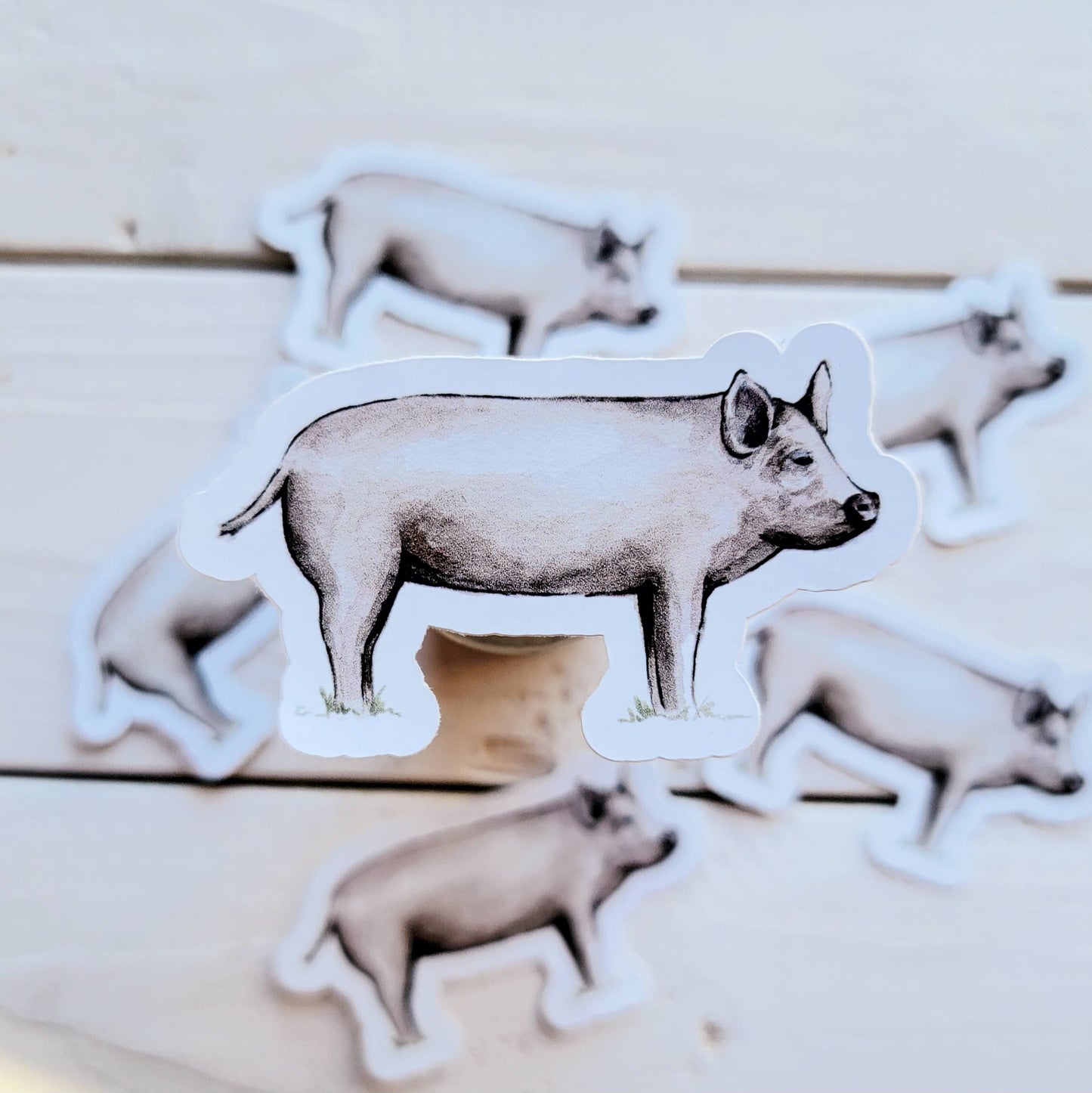 Pig Vinyl Sticker