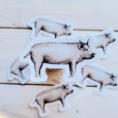 Pig Vinyl Sticker
