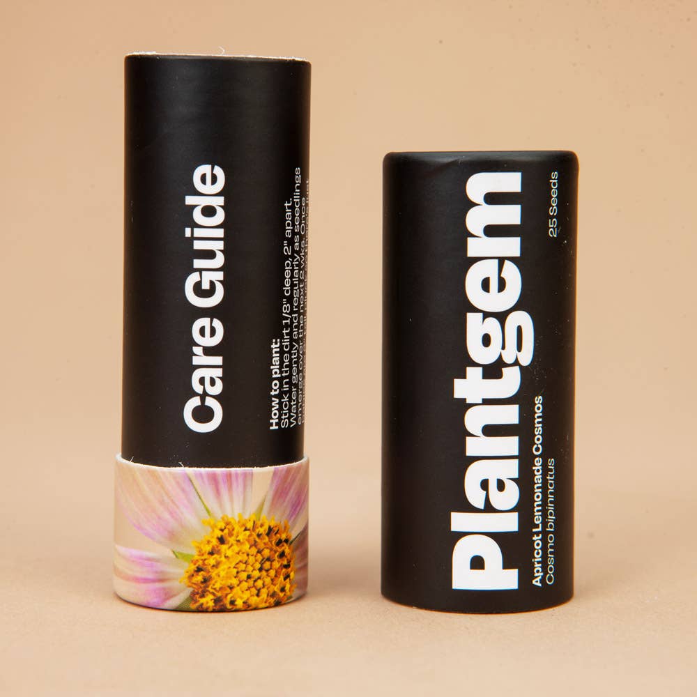 Apricot Lemonade Cosmos - 50 Seeds