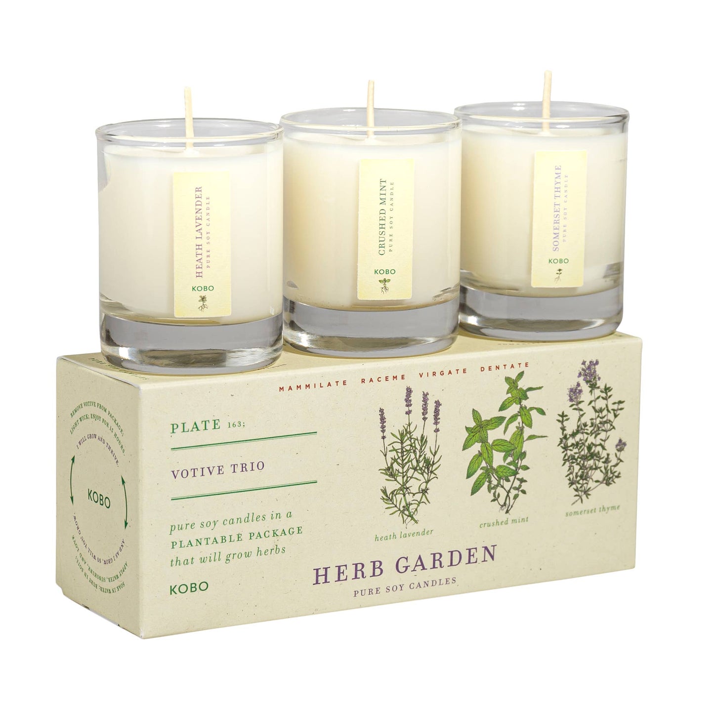 Plant the Box Votive Candle Trio, Herb Garden