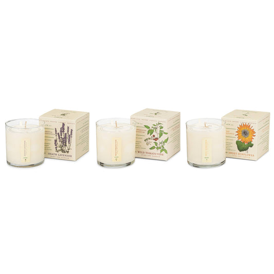 Plant the Box Votive Candle Trio, Endless Summer