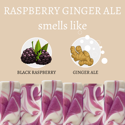 Raspberry Ginger Ale Vegan Handmade Soap Bar