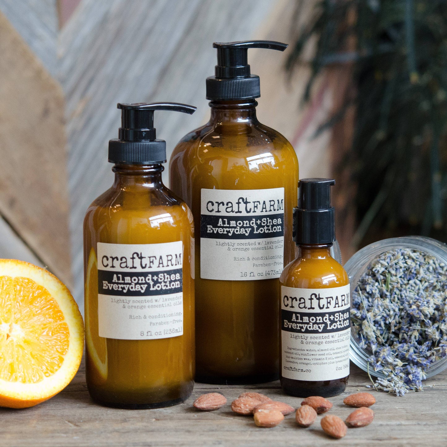 Almond+Shea Everyday Lotion 16oz
