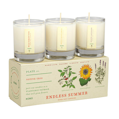 Plant the Box Votive Candle Trio, Endless Summer