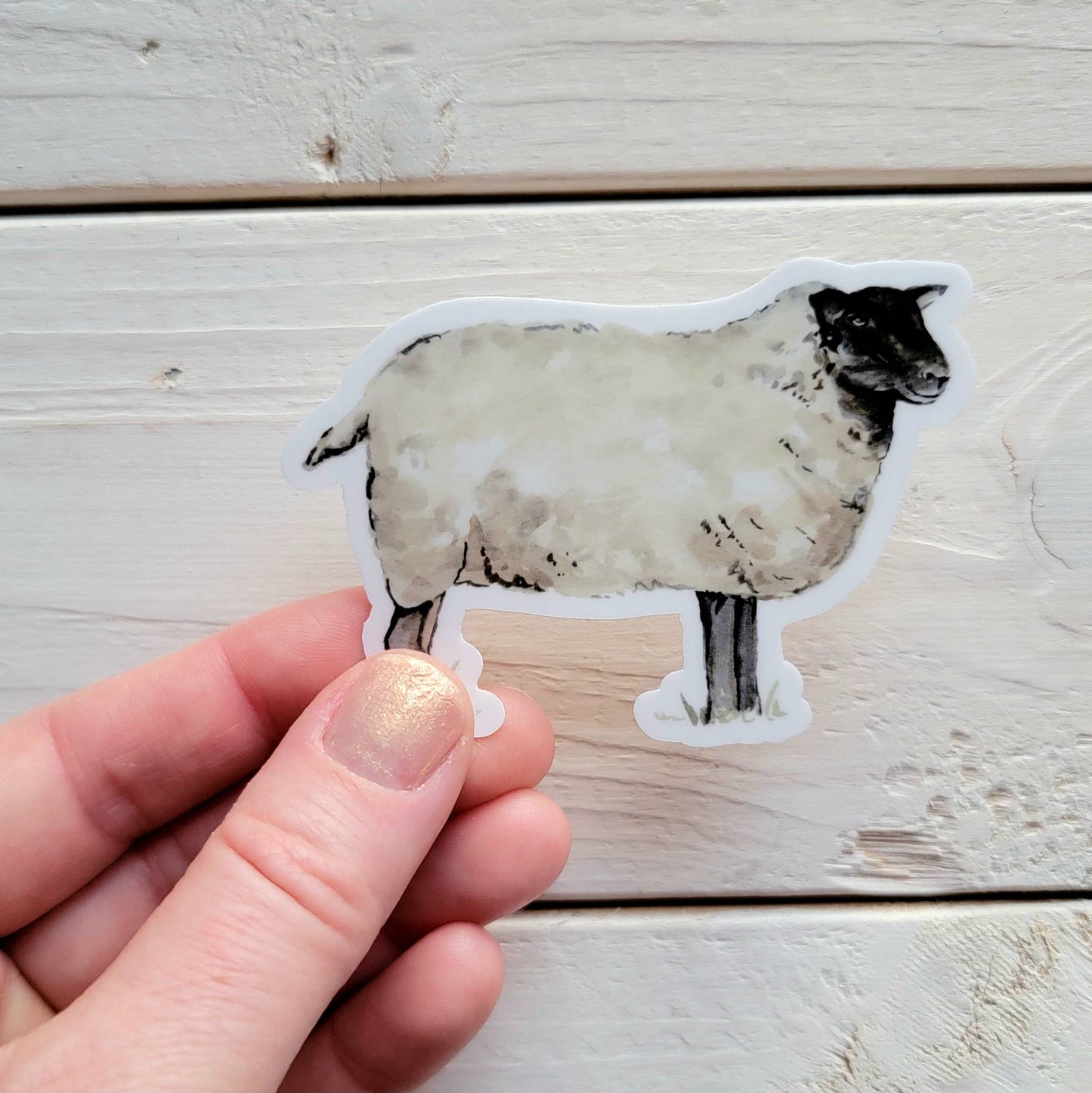 Sheep Vinyl Sticker