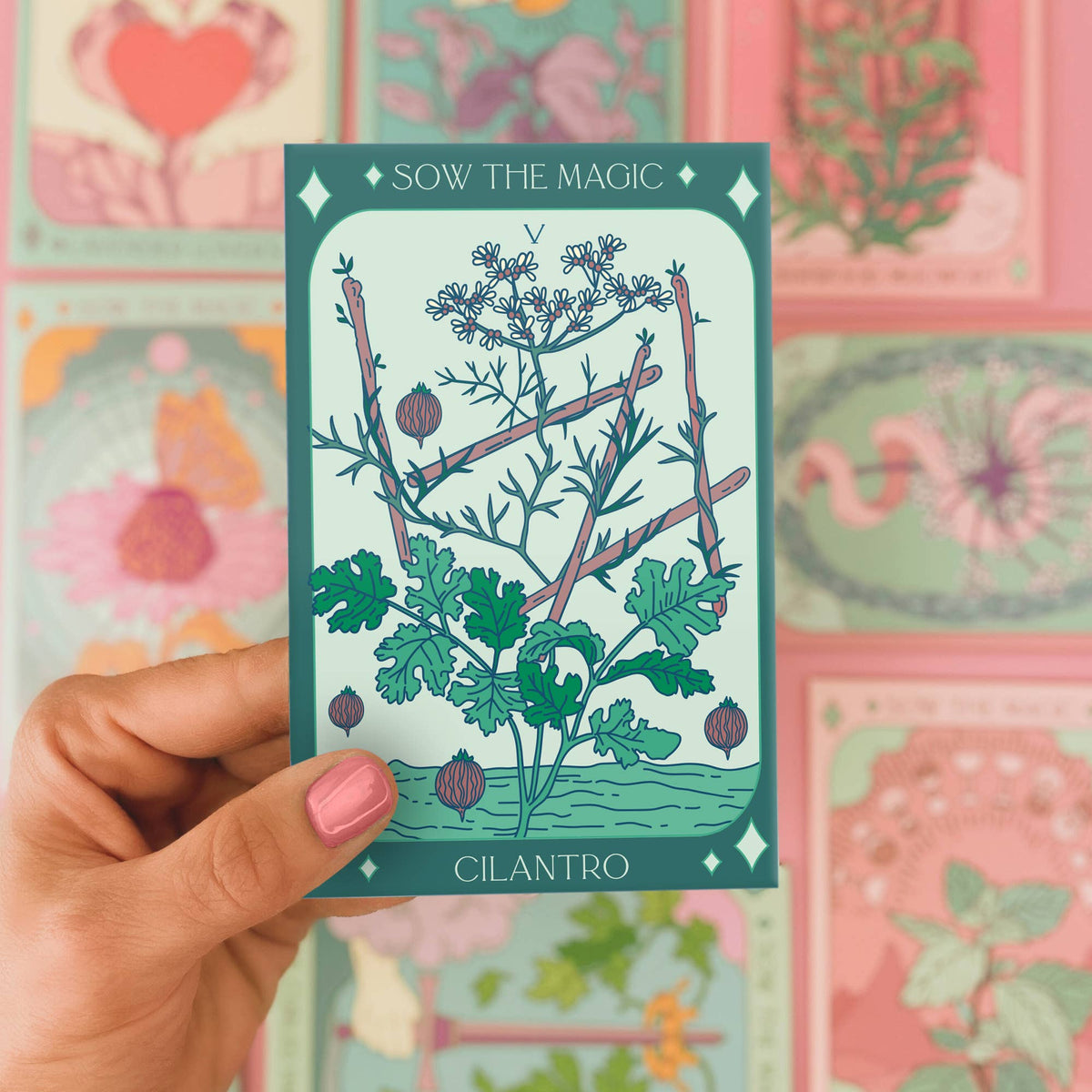 Cilantro Coriander Tarot Garden
