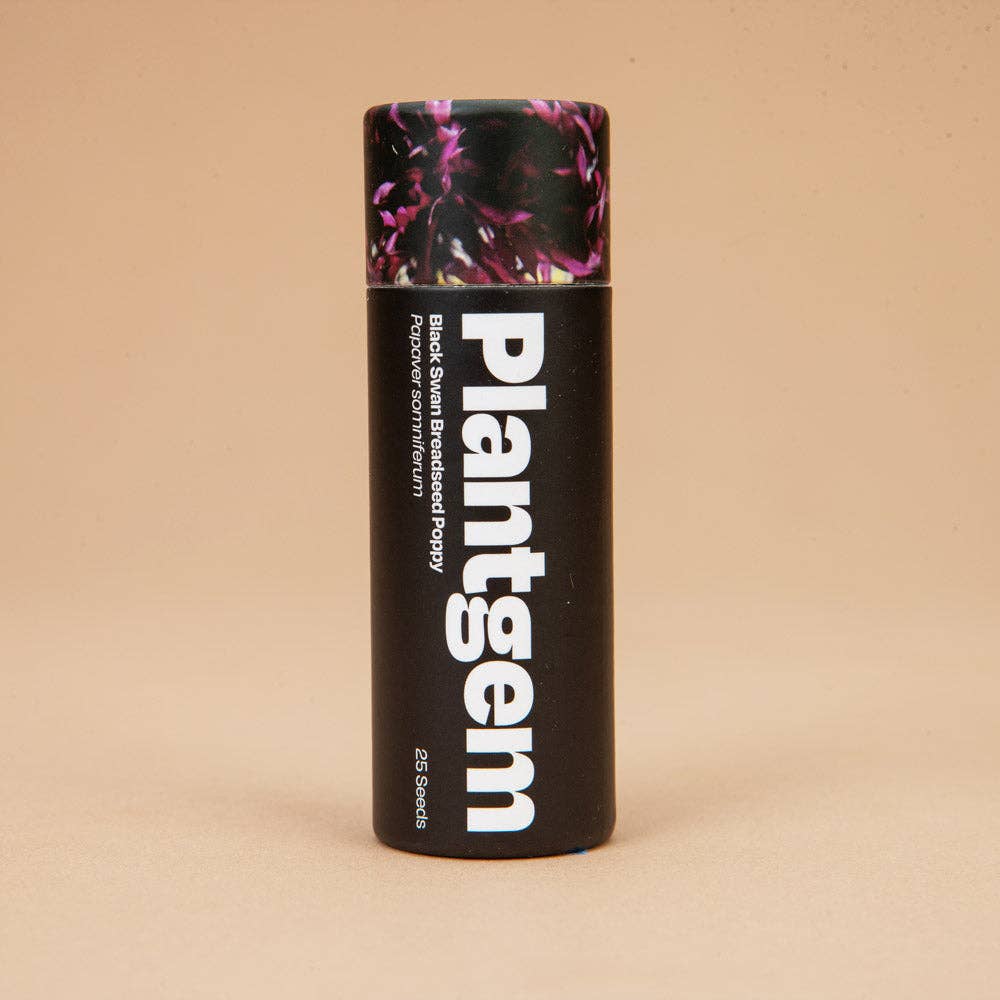 Black Swan Breadseed Poppy - 100 Seeds