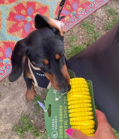 Corn-Shaped Dental Chew Dog Toy