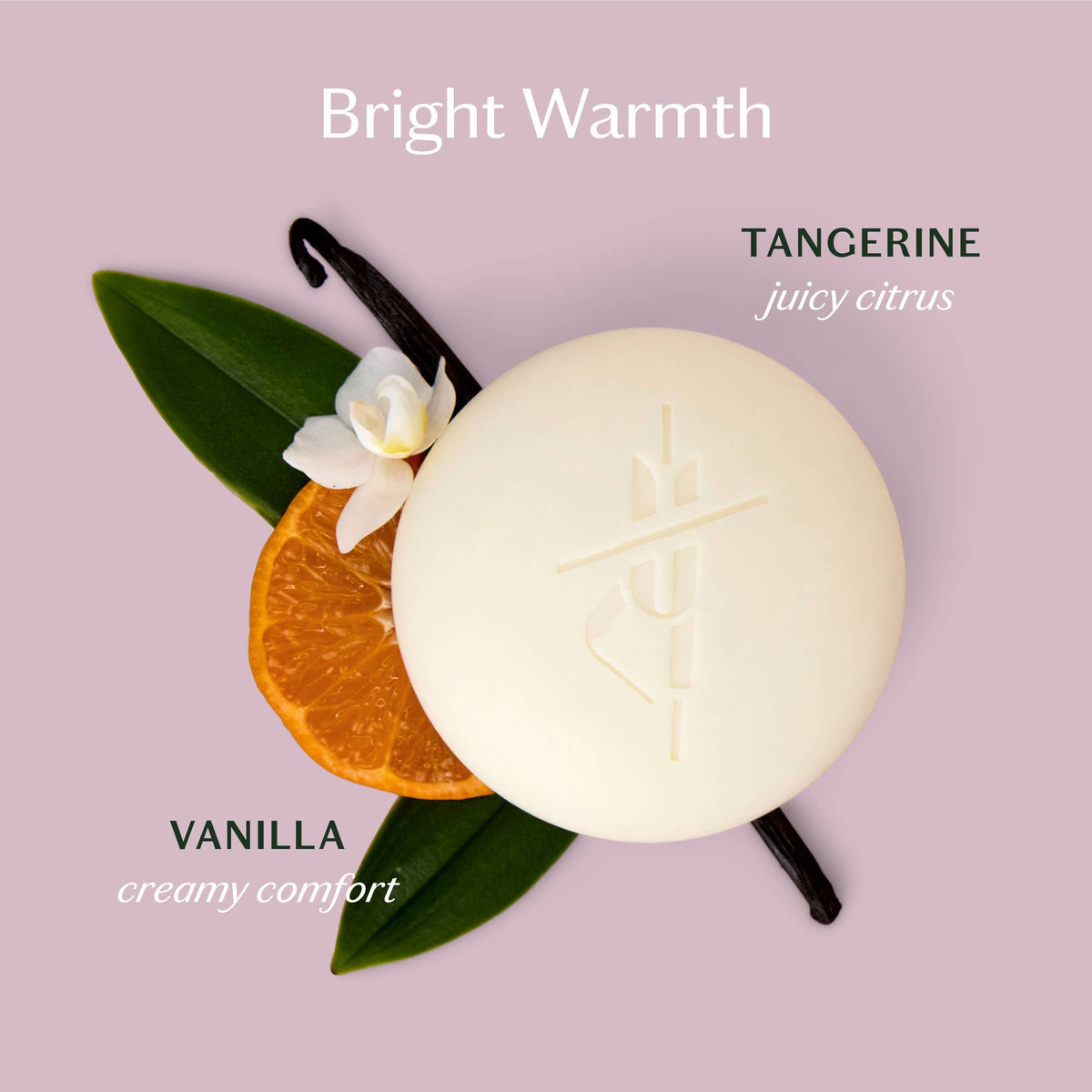 Tangerine & Vanilla Deep Moisturizing Lotion Bar