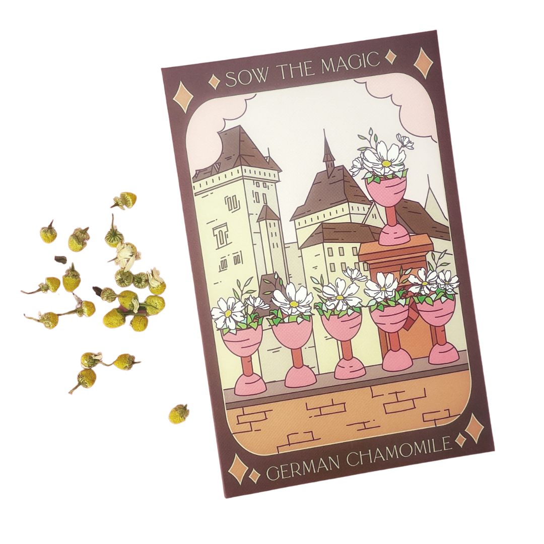 German Chamomile Tarot Garden