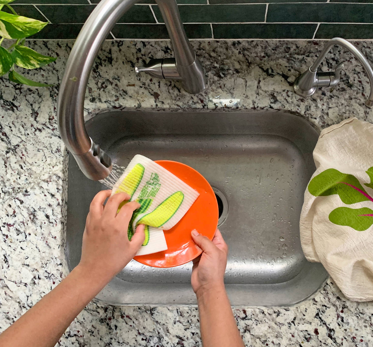 Pickle Sponge Cloth