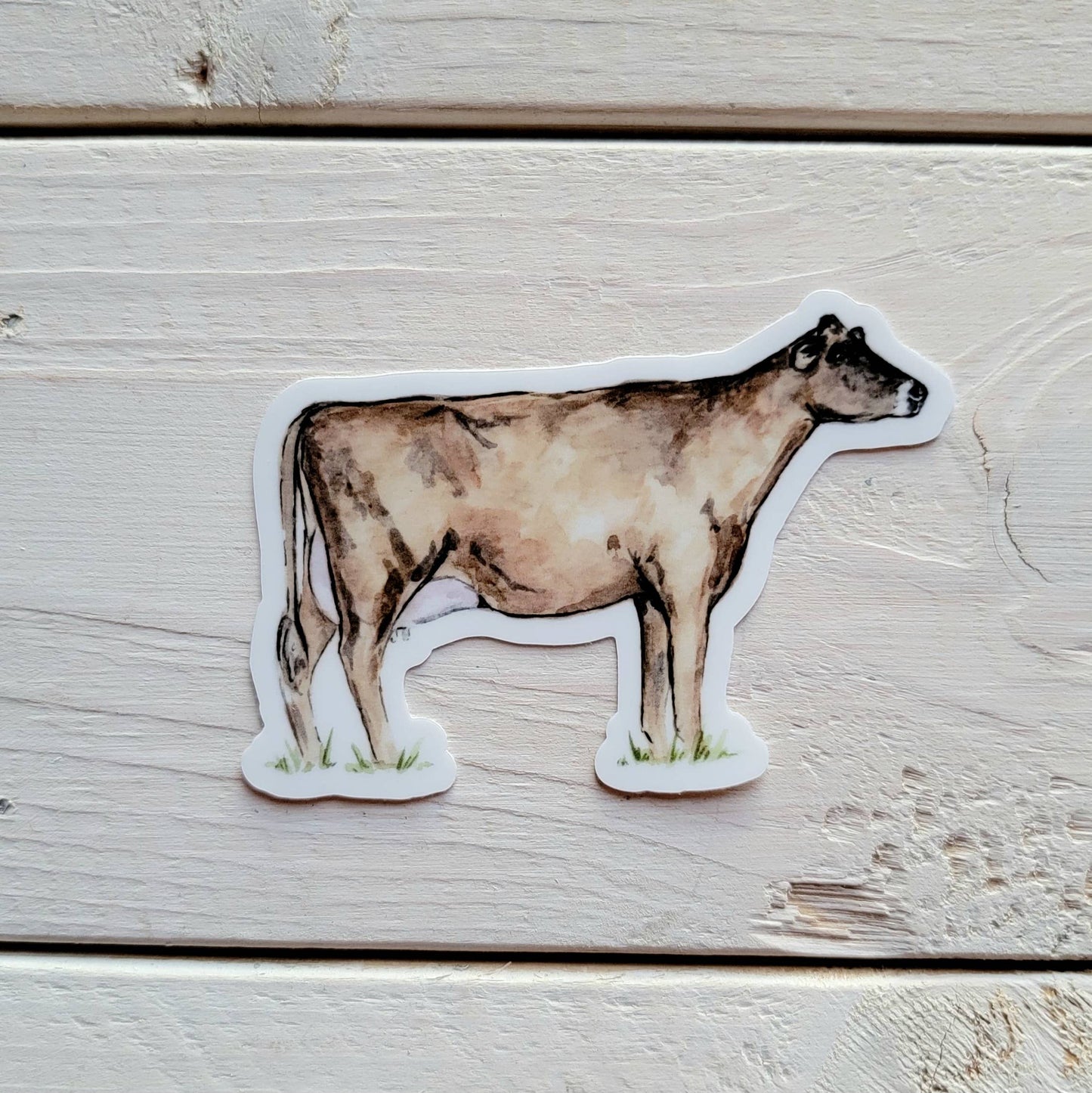 Jersey Cow Vinyl Sticker