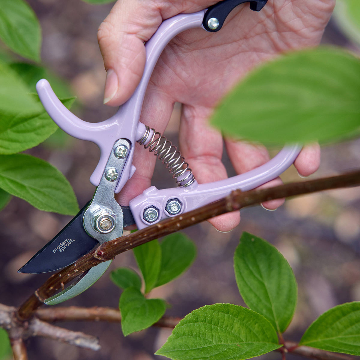 Colored Garden Pruners