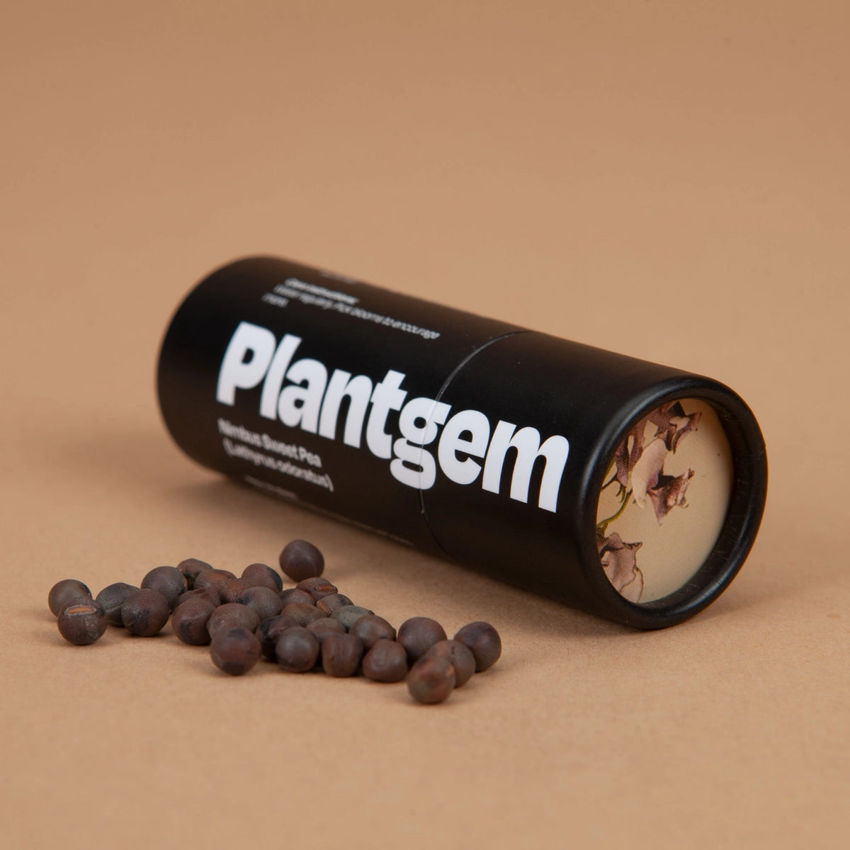 Sweet Pea Nimbus Seeds