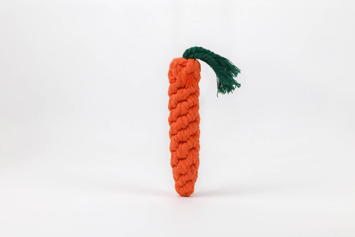 Sustainable Fruit and Vegetable Rope Dog Toys