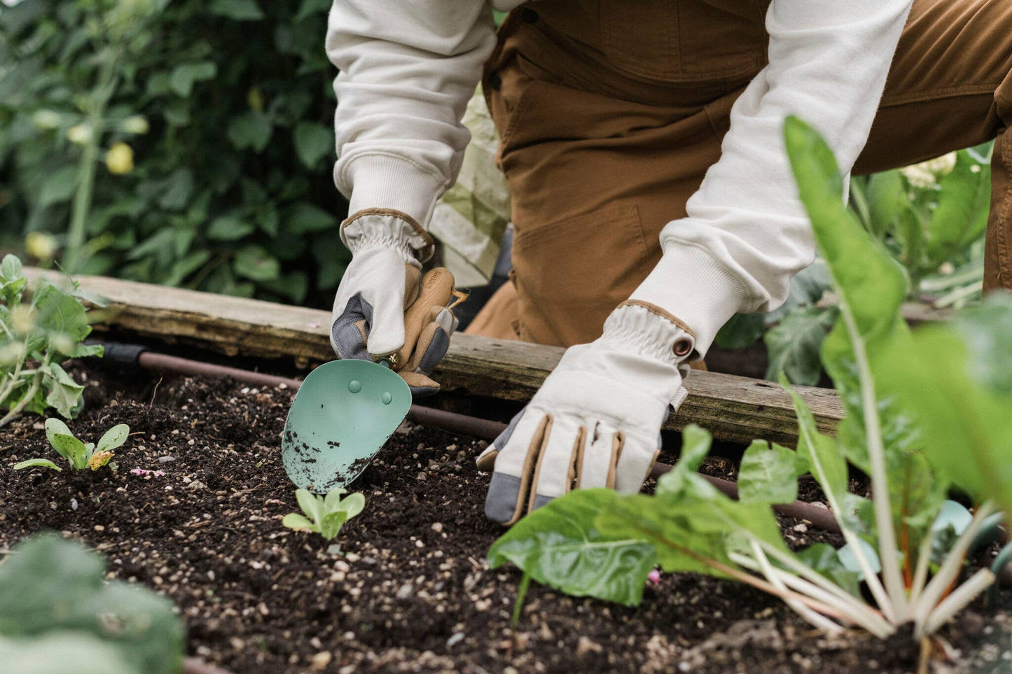 Garden Scoop