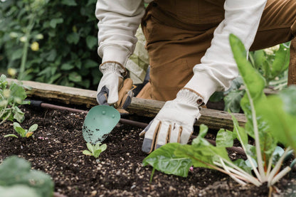 Garden Scoop