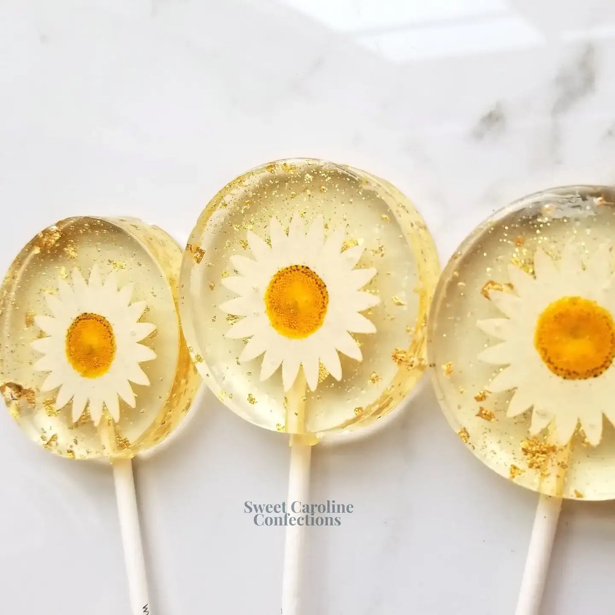 Daisy and Gold Lollipops, Mandarin Orange