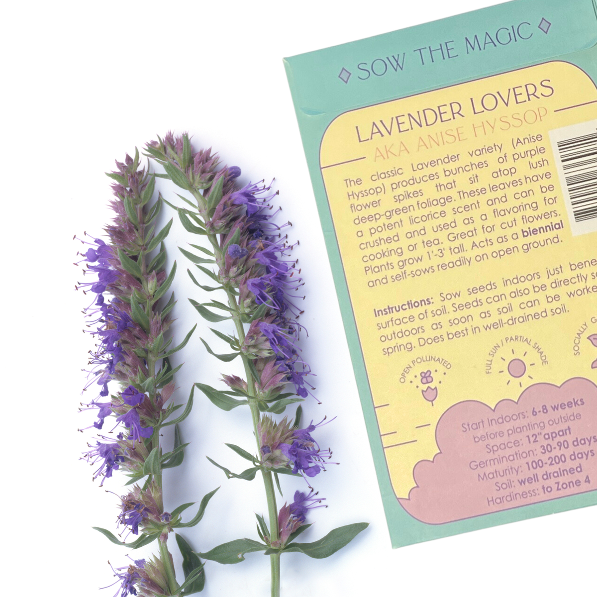 Lavender Lovers Tarot Garden