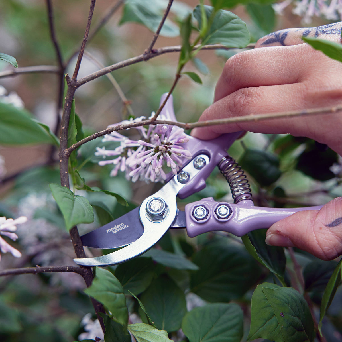 Colored Garden Pruners