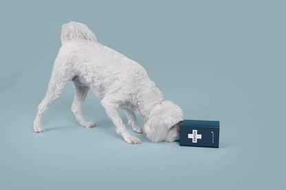 Eco First-Aid Kit for Pets